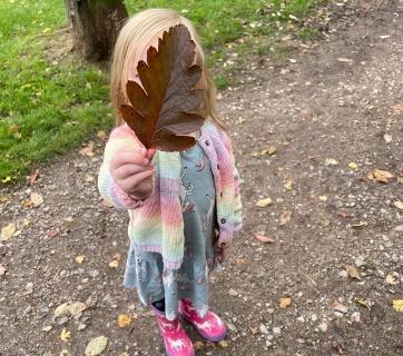 collecting-autumn-leaves