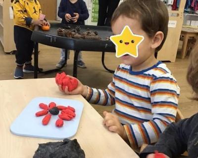 making-poppies-activities