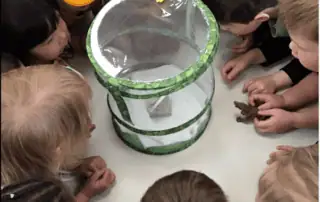 Nursery children looking at butterflies Nursery children looking at butterflies