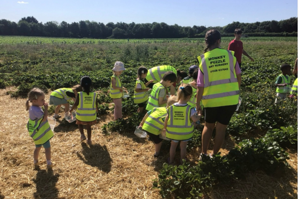 Strawberry Picking Trip to Copas Farm (1)