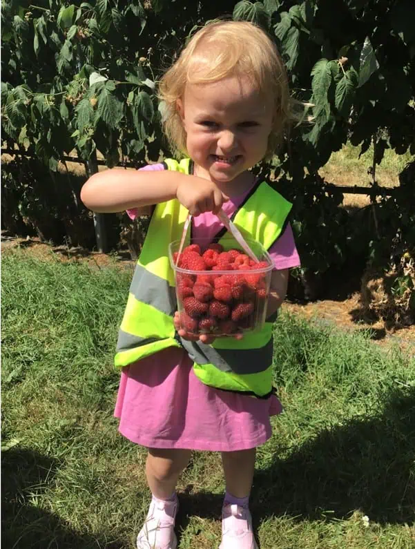monkey puzzle maidenhead strawberry picking 8