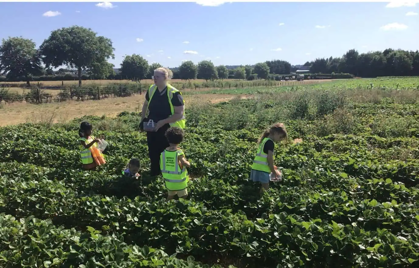 monkey puzzle maidenhead strawberry picking 8