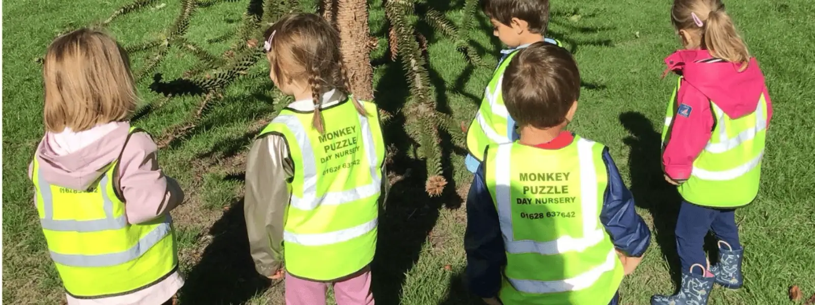 Monkey Puzzle Maidenhead - Sustainability