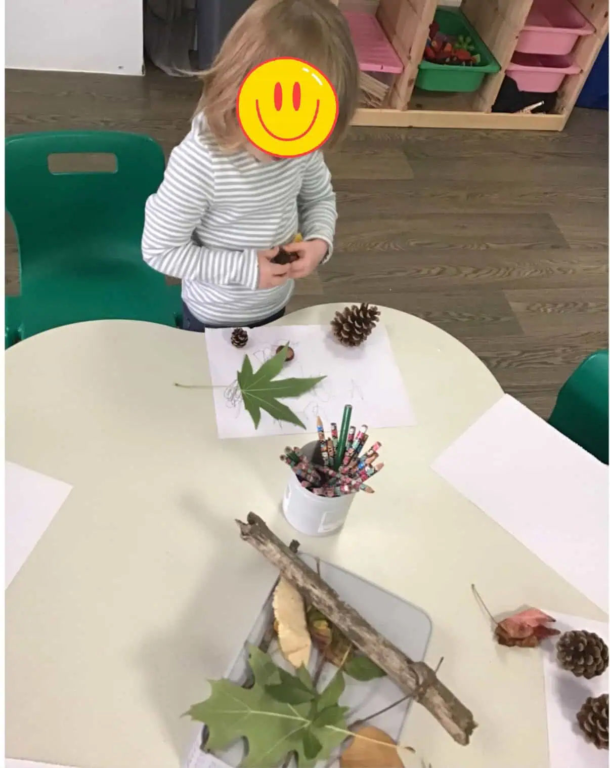 Monkey Puzzle Maidenhead – Sustainability Monkey Puzzle Maidenhead - Sustainability