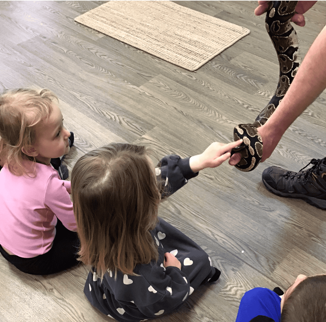 Children stroking a snake